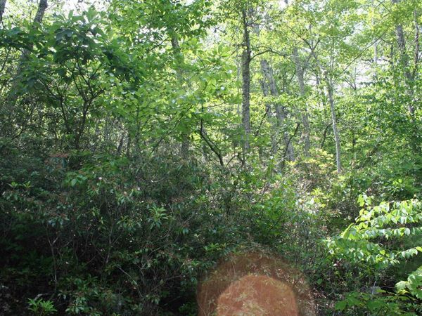 42 HIGH VALLEY SOUTH, Unit 42, MONTEREY, VA 24465