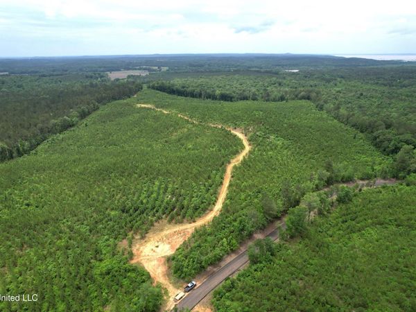 Alice Williams Road, Gore Springs, MS 38929