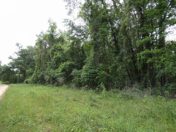 tbd E 2nd Way, Greenville, FL 32331
