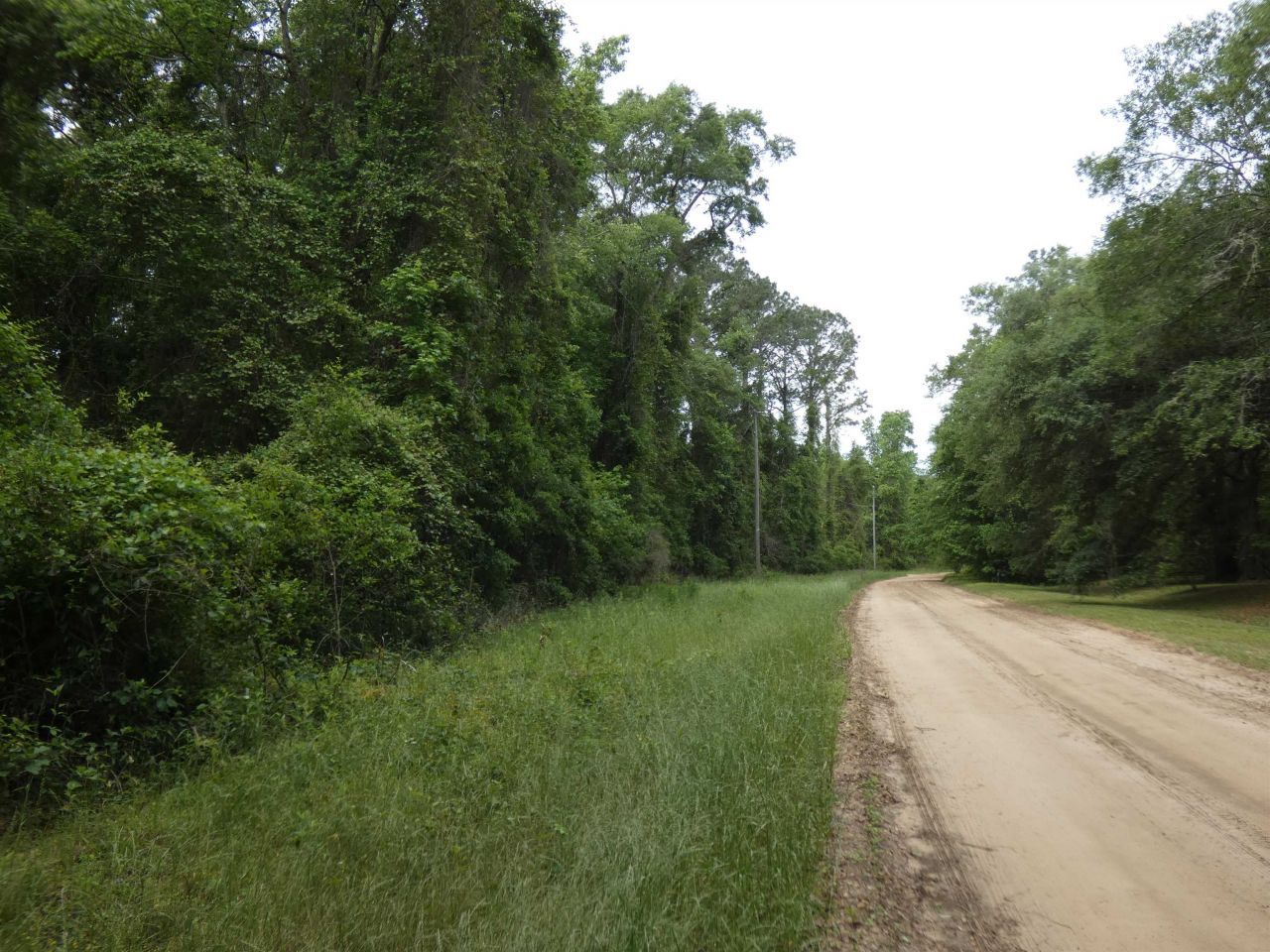 Tbd E 2nd Way, Greenville, FL 32331 Photo