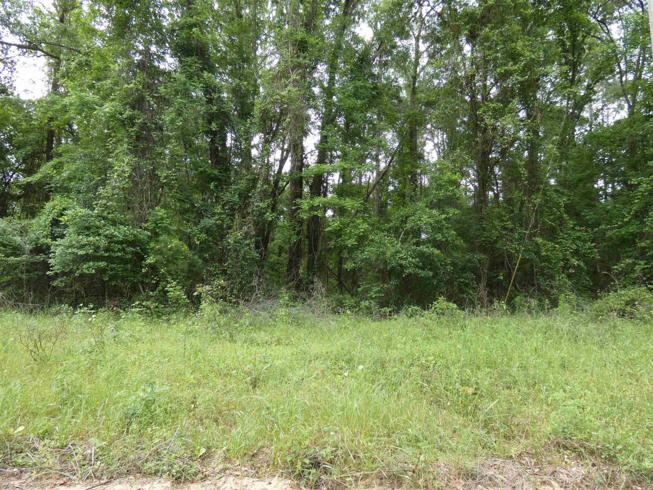 Tbd E 2nd Way, Greenville, FL 32331 Photo