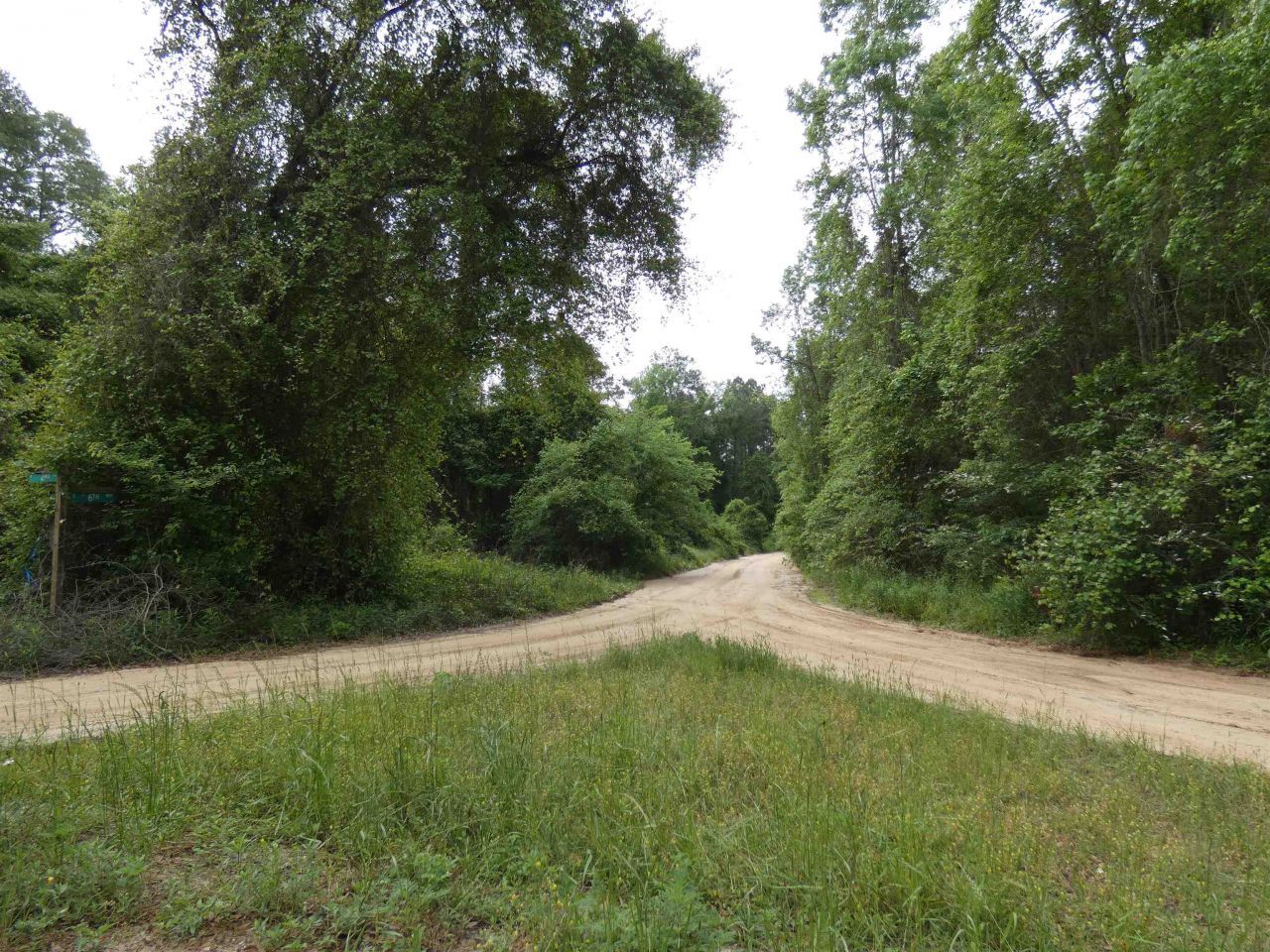 Tbd E 2nd Way, Greenville, FL 32331 Photo