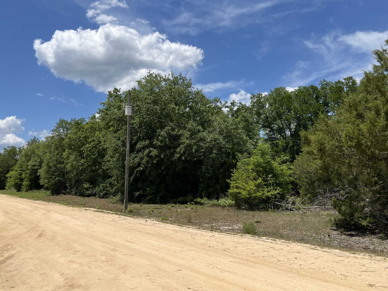 Magnolia Lane, Marianna, FL 32448 Photo