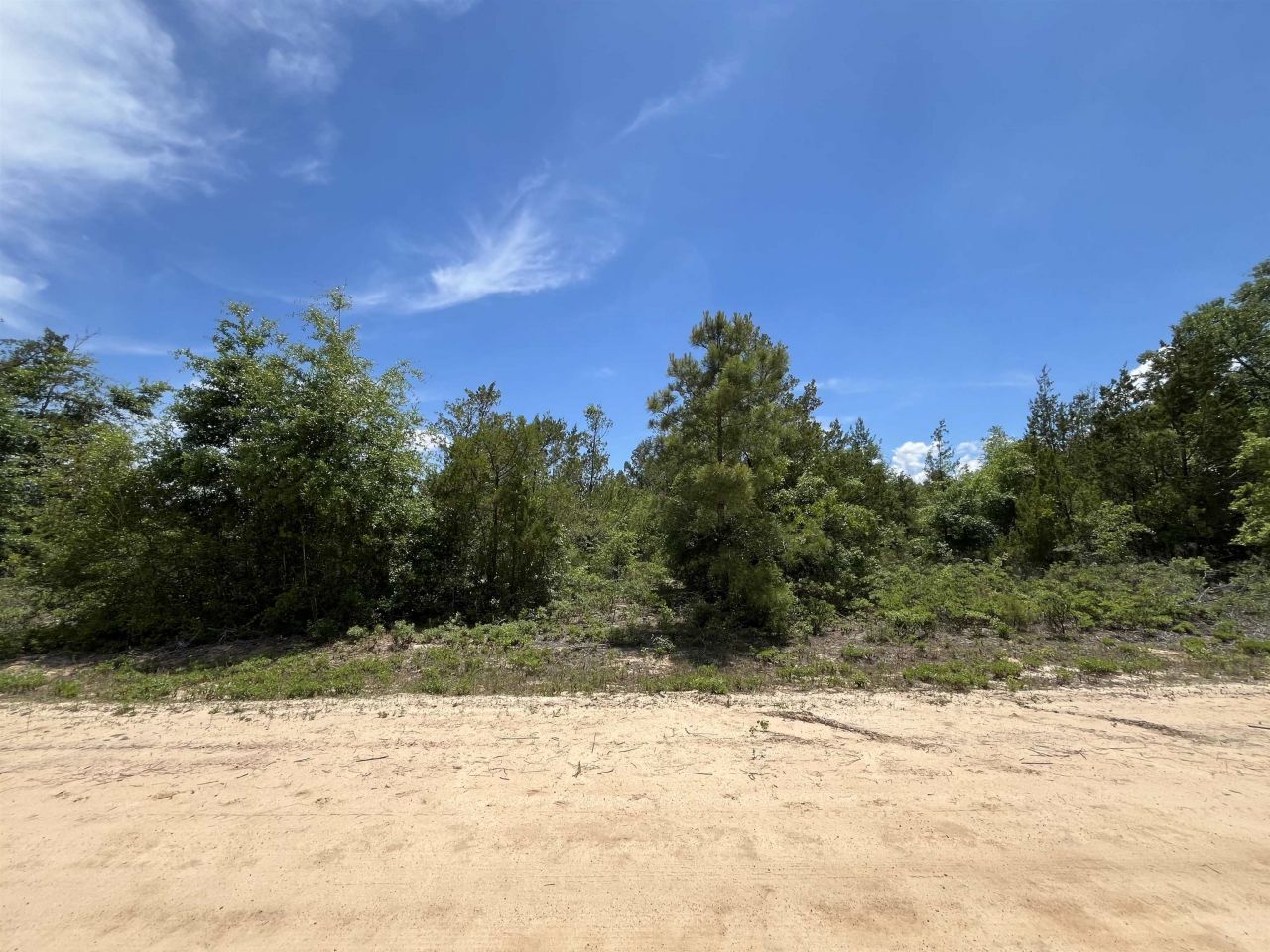 Magnolia Lane, Marianna, FL 32448 Photo