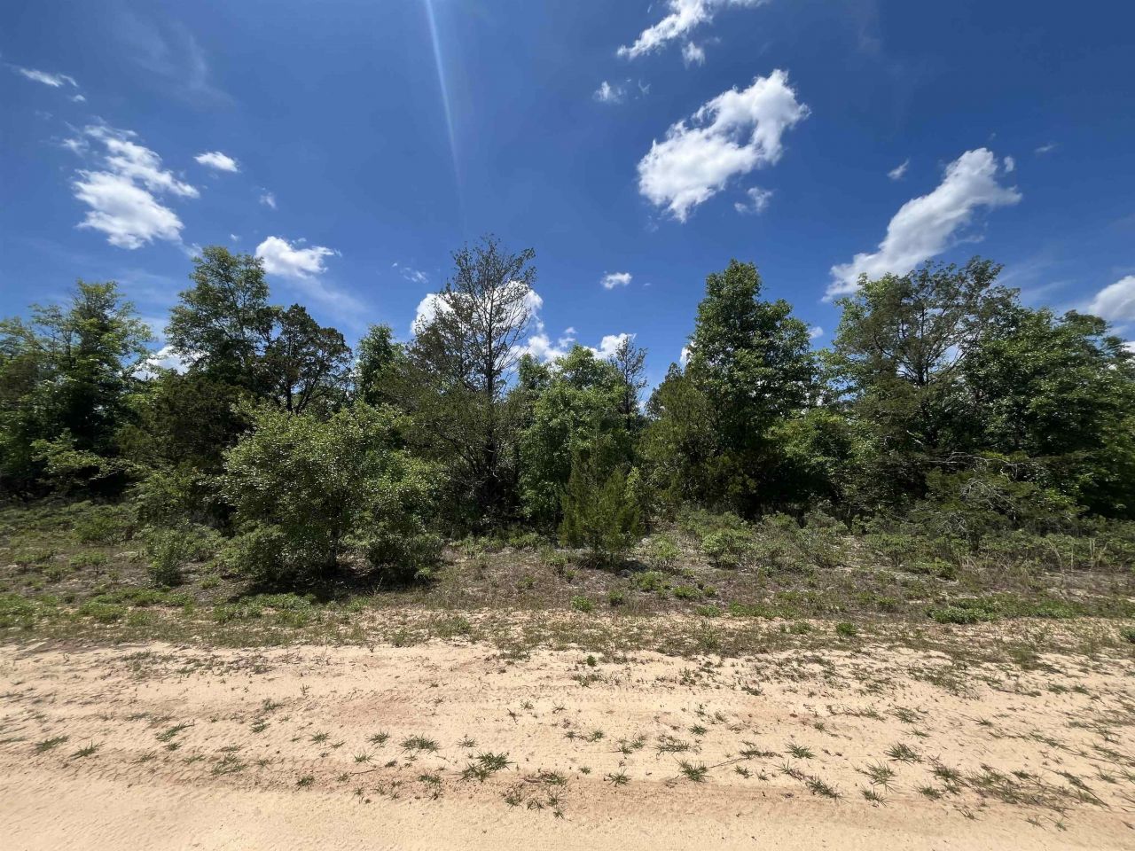 Magnolia Lane, Marianna, FL 32448 Photo