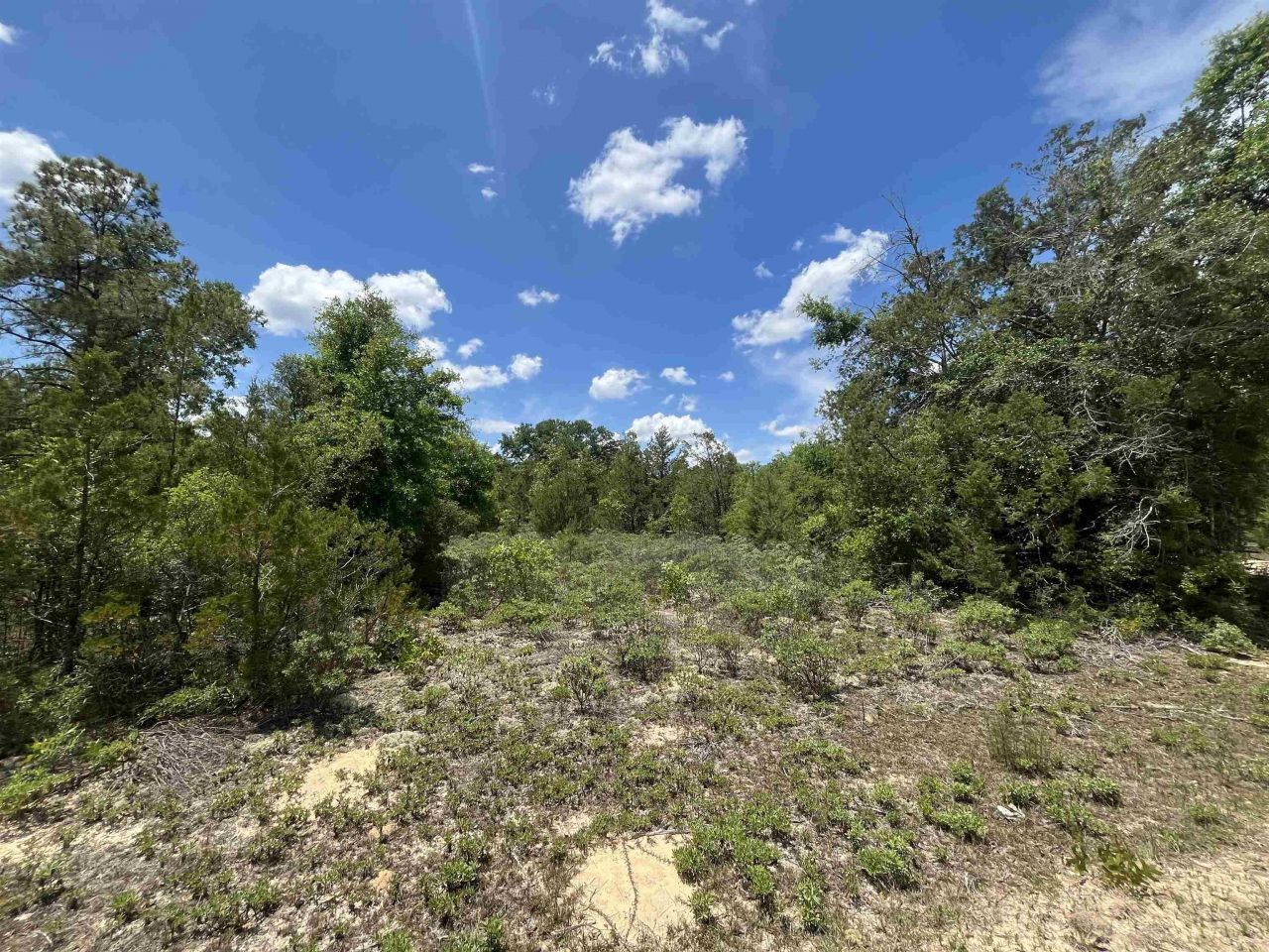 Magnolia Lane, Marianna, FL 32448 Photo