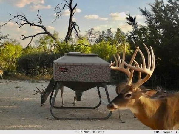 267 CR 112, Goldthwaite, TX 76844