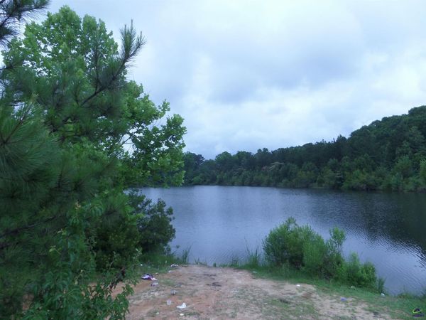 99 Green Street, Warner Robins, GA 31093