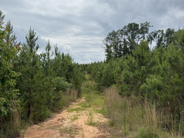 Dividing Ridge Road, Gore Springs, MS 38929