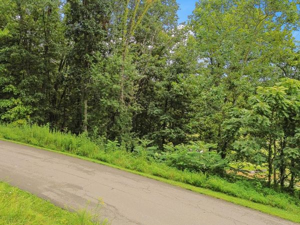 Tbd Washington Way, Unit Lot 202, Bristol, VA 24202