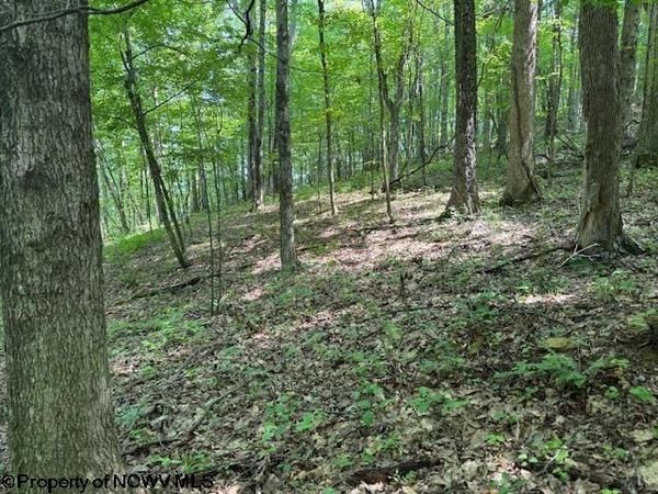 TBD Iron Town Road, Independence, WV 26374