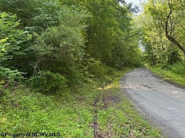 TBD Iron Town Road, Independence, WV 26374