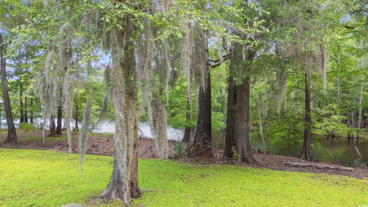 1032 Chelsey Circle Photo 31