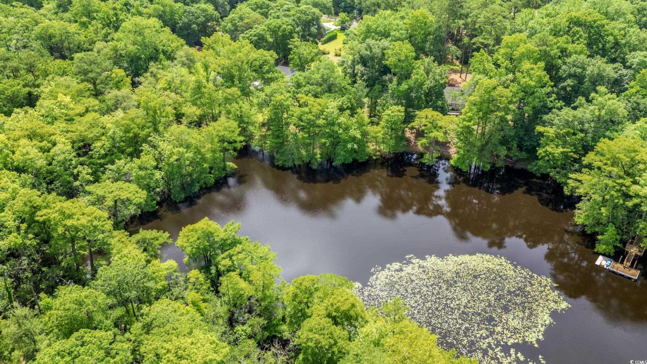 1032 Chelsey Circle Photo 32