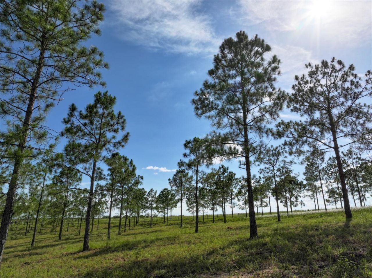 4501 Detour Road, Haines City, FL 33844 Photo