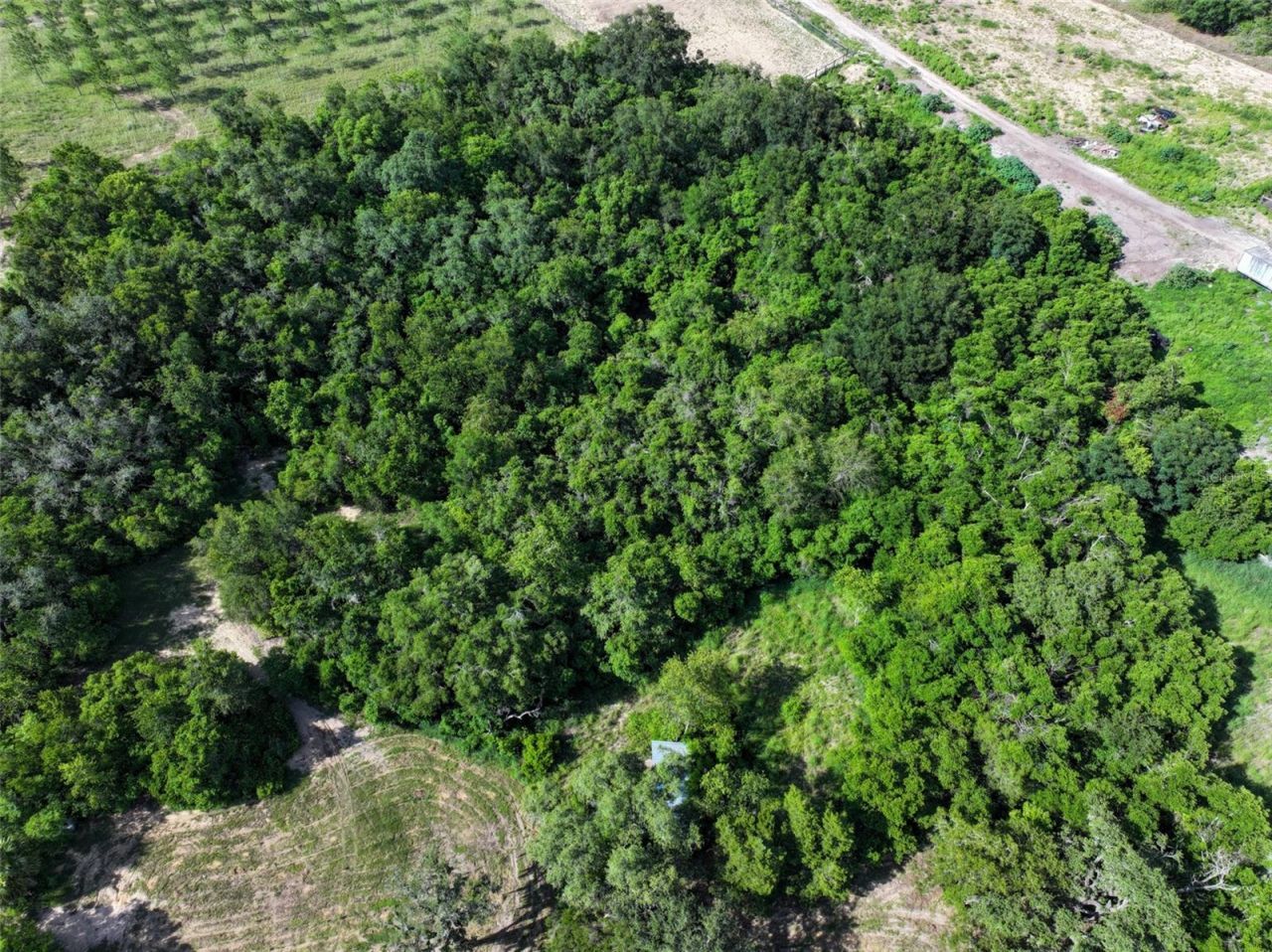 4501 Detour Road, Haines City, FL 33844 Photo