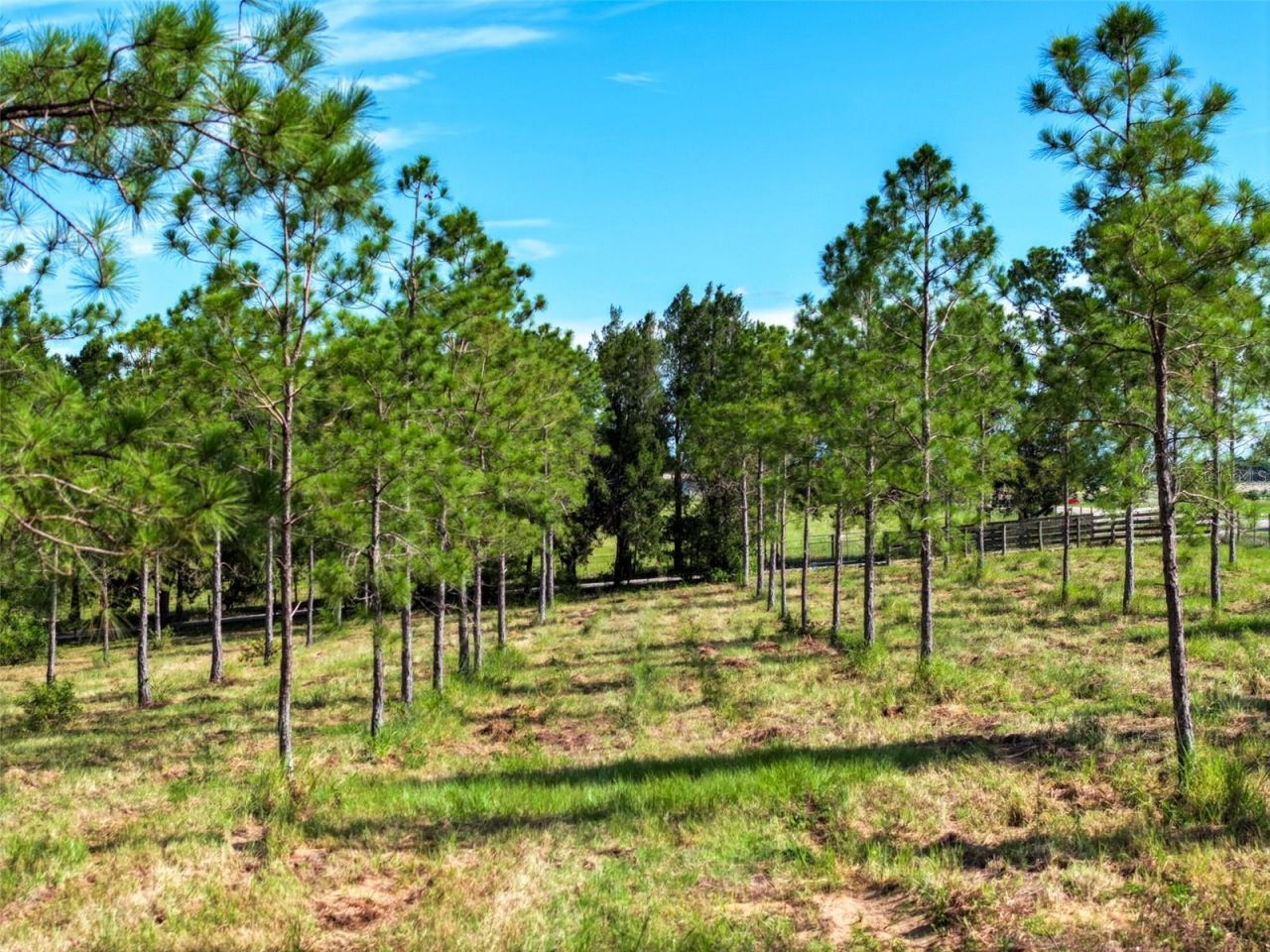 4501 Detour Road, Haines City, FL 33844 Photo