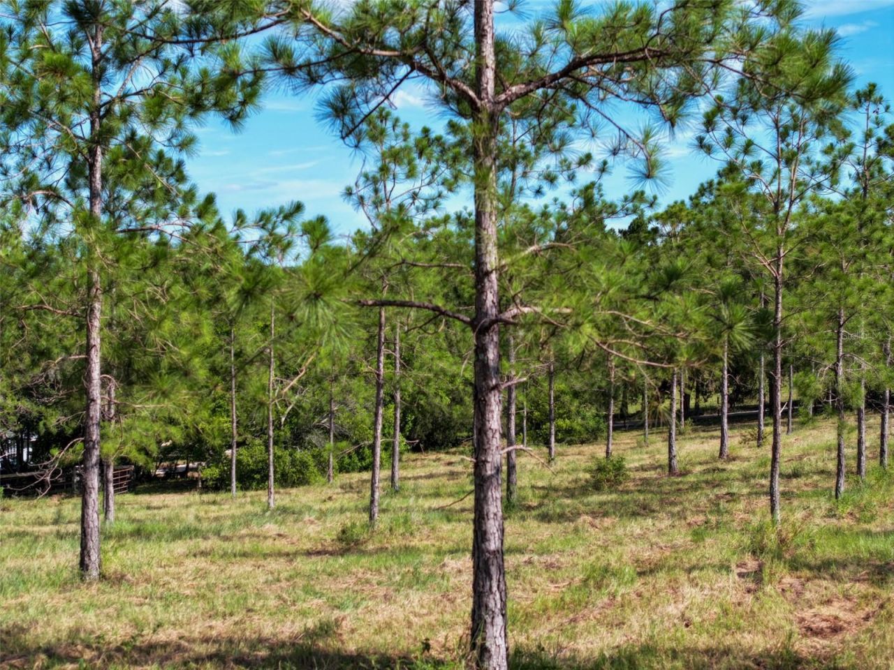 4501 Detour Road, Haines City, FL 33844 Photo