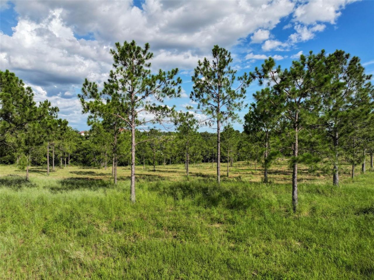 4501 Detour Road, Haines City, FL 33844 Photo