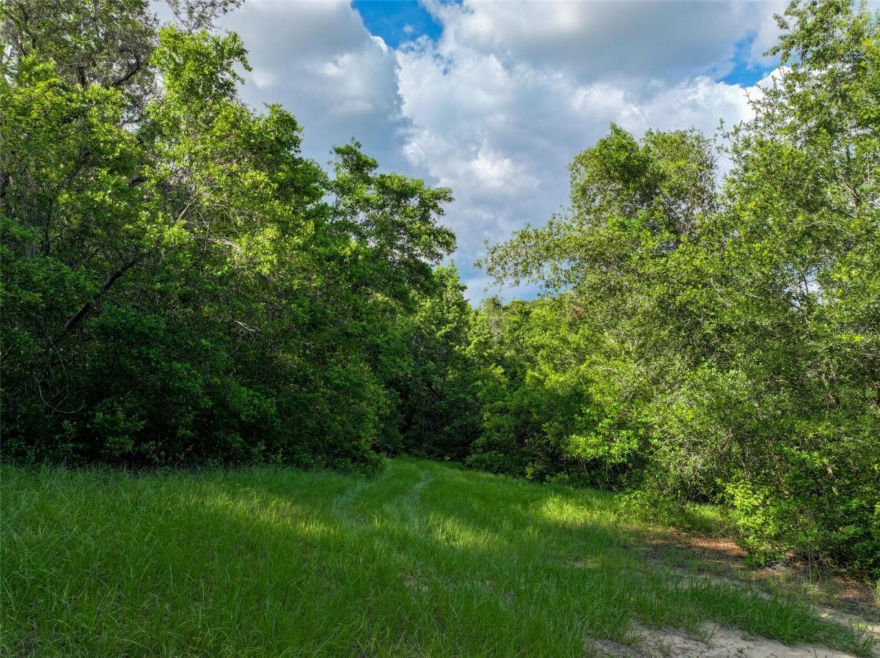 4501 Detour Road, Haines City, FL 33844 Photo