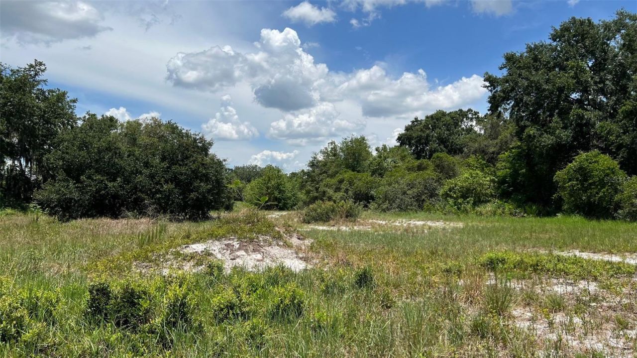 Abundant Life Drive, Auburndale, FL 33823 Photo