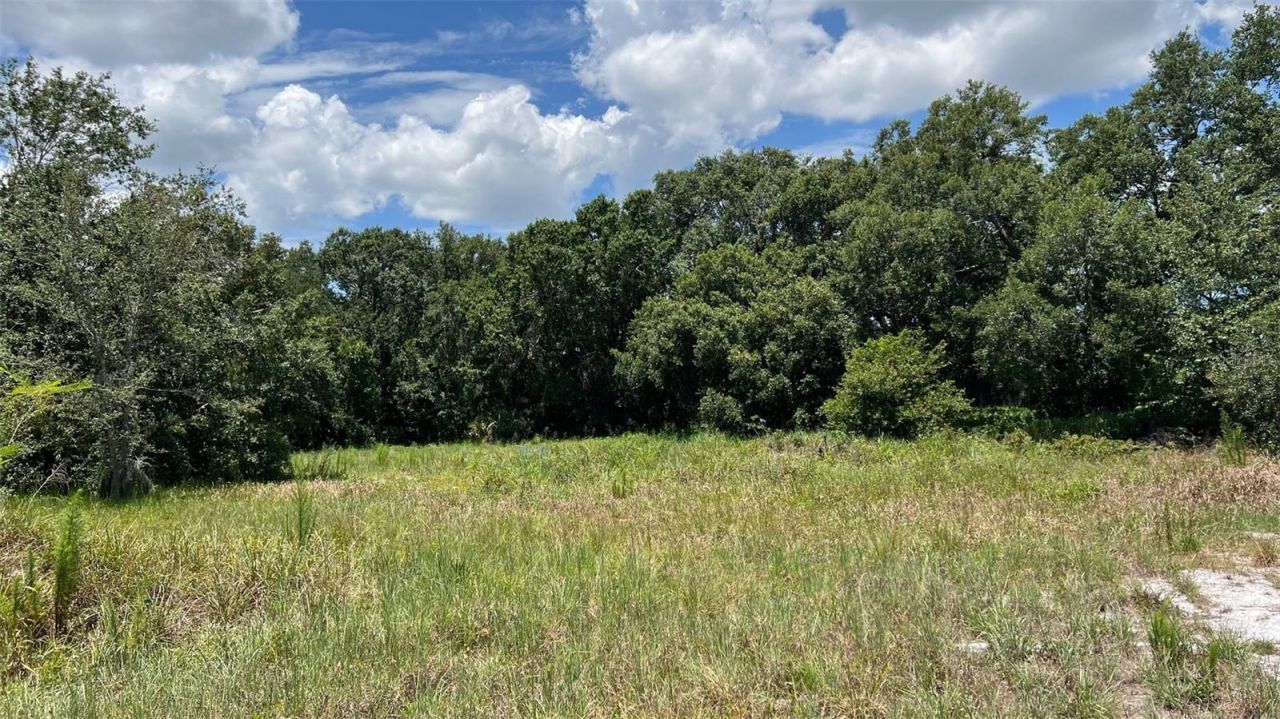 Abundant Life Drive, Auburndale, FL 33823 Photo