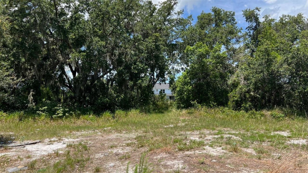 Abundant Life Drive, Auburndale, FL 33823 Photo