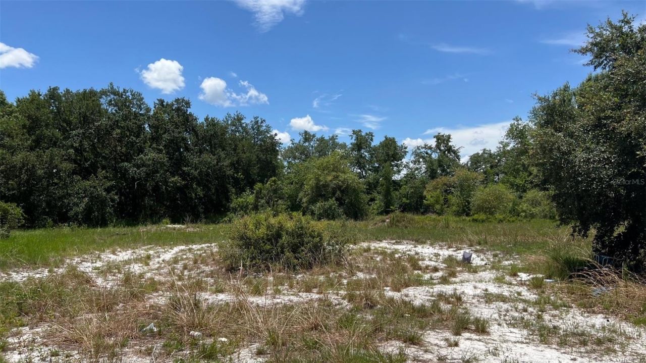 Abundant Life Drive, Auburndale, FL 33823 Photo