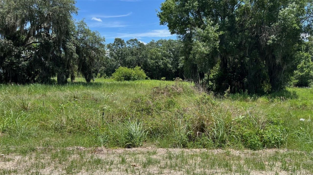 Abundant Life Drive, Auburndale, FL 33823 Photo