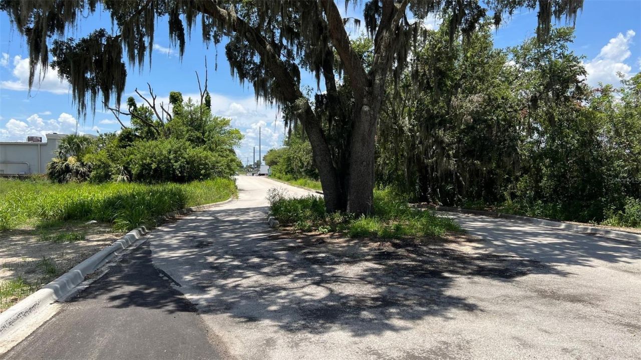 Abundant Life Drive, Auburndale, FL 33823 Photo