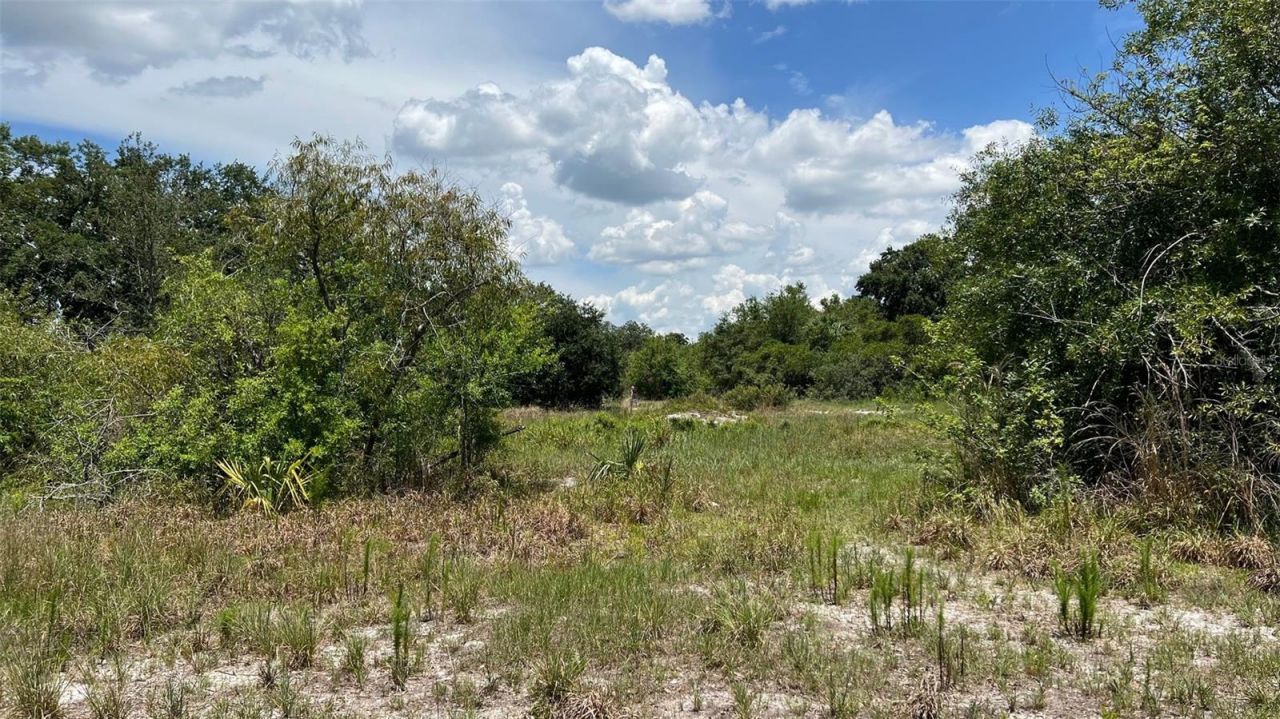 Abundant Life Drive, Auburndale, FL 33823 Photo