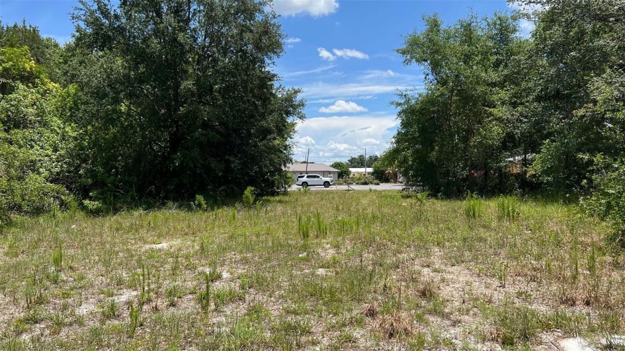 Abundant Life Drive, Auburndale, FL 33823 Photo