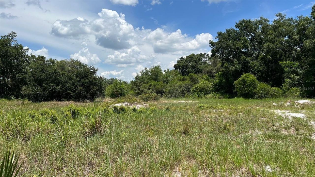 Abundant Life Drive, Auburndale, FL 33823 Photo