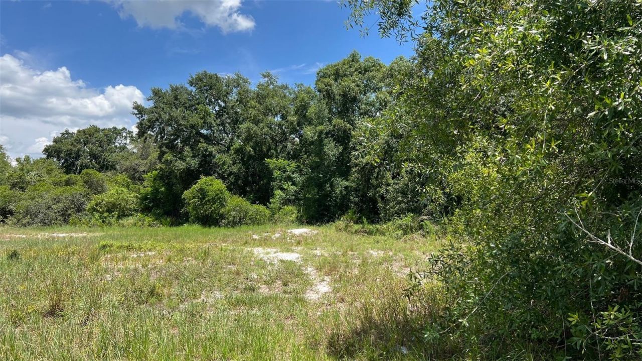 Abundant Life Drive, Auburndale, FL 33823 Photo