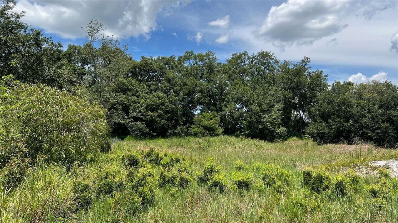 Abundant Life Drive, Auburndale, FL 33823 Photo