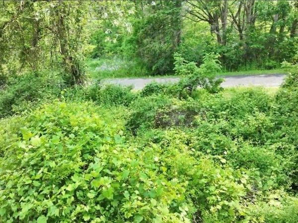 0 Drew Road, Ithaca, NY 14850