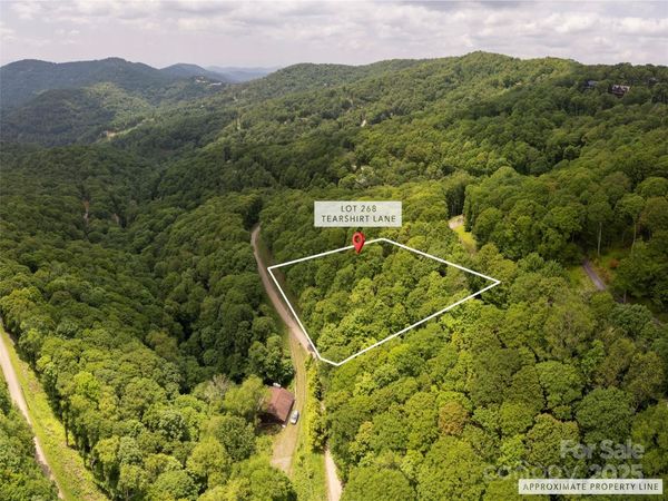 000 Tearshirt Lane, Mars Hill, NC 28754