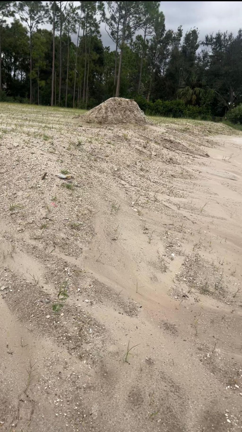 17777 75th Place N, Loxahatchee, FL 33470 Photo