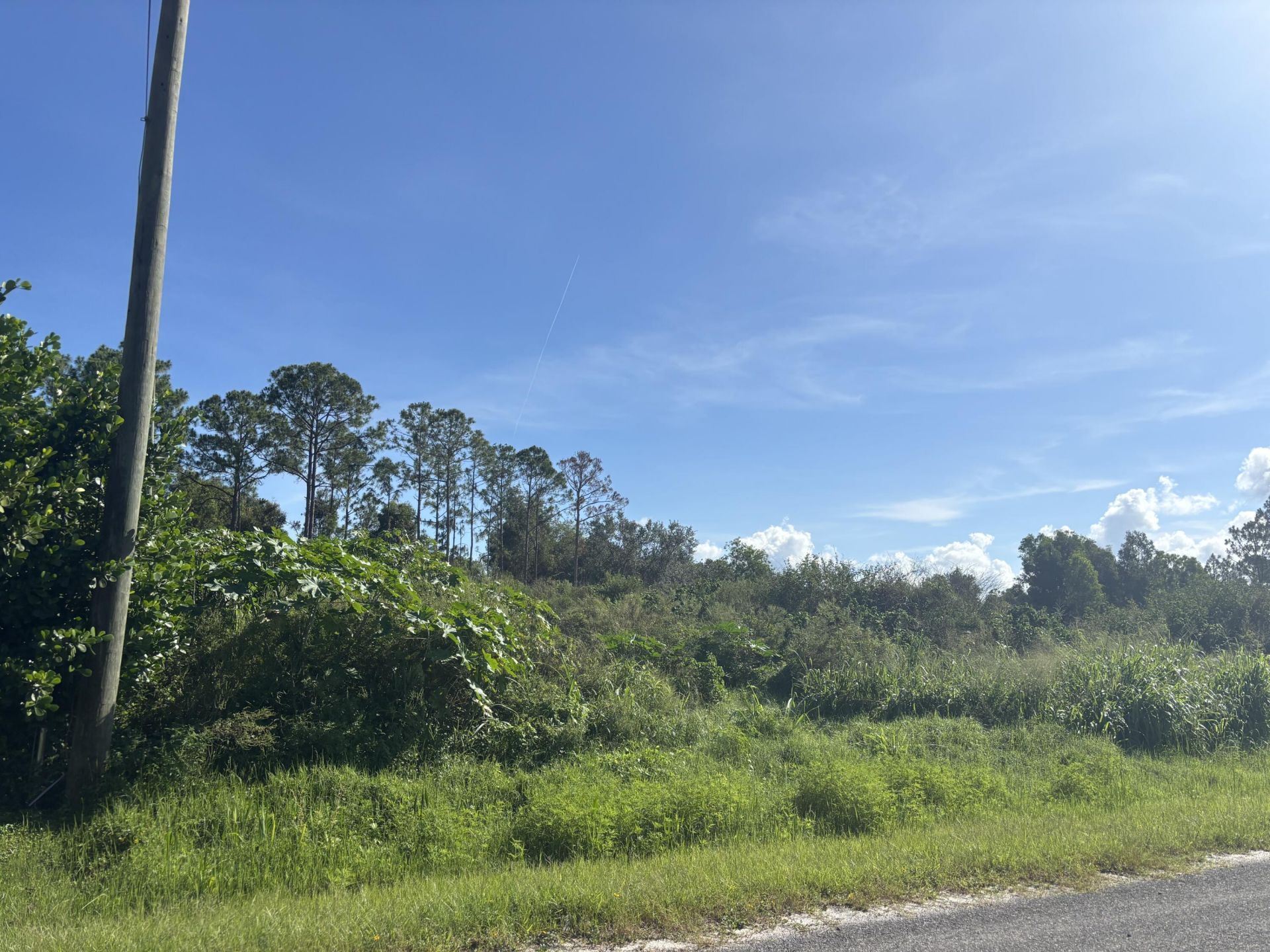 17777 75th Place N, Loxahatchee, FL 33470 Photo