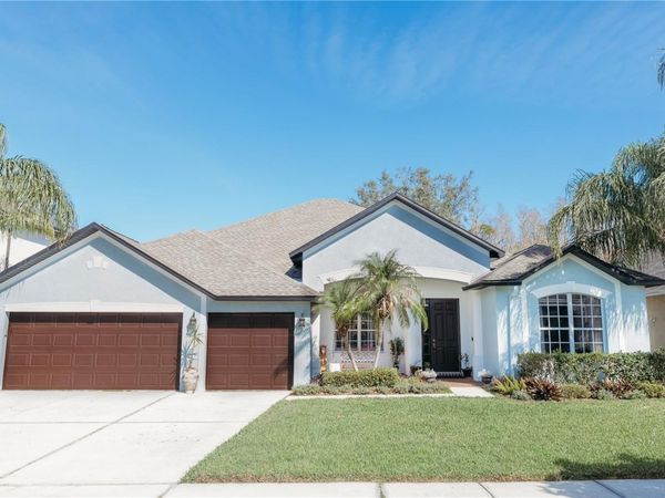 26620 SHOREGRASS DRIVE, WESLEY CHAPEL, FL 33544