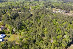 0 Tillman Branch Road photo 4