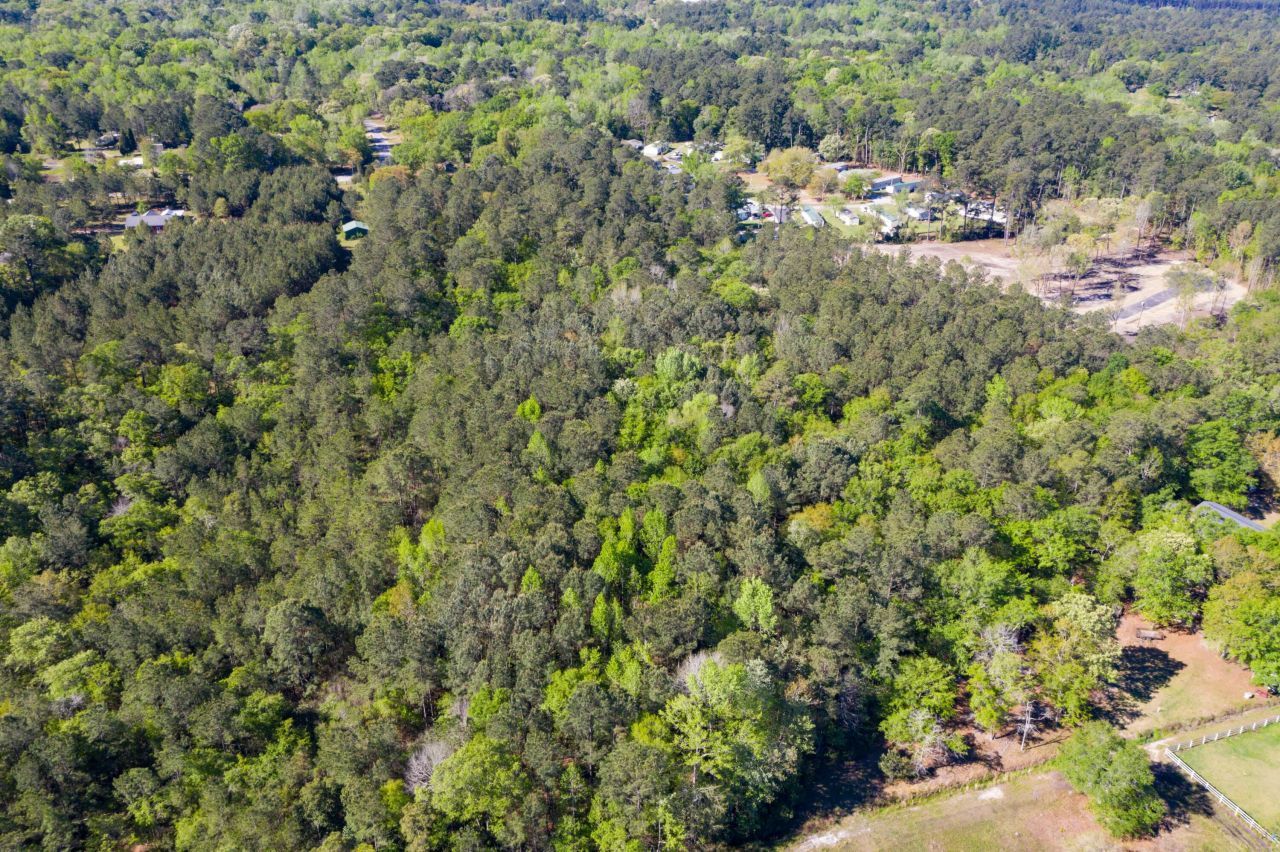 0 Tillman Branch Road Photo 6