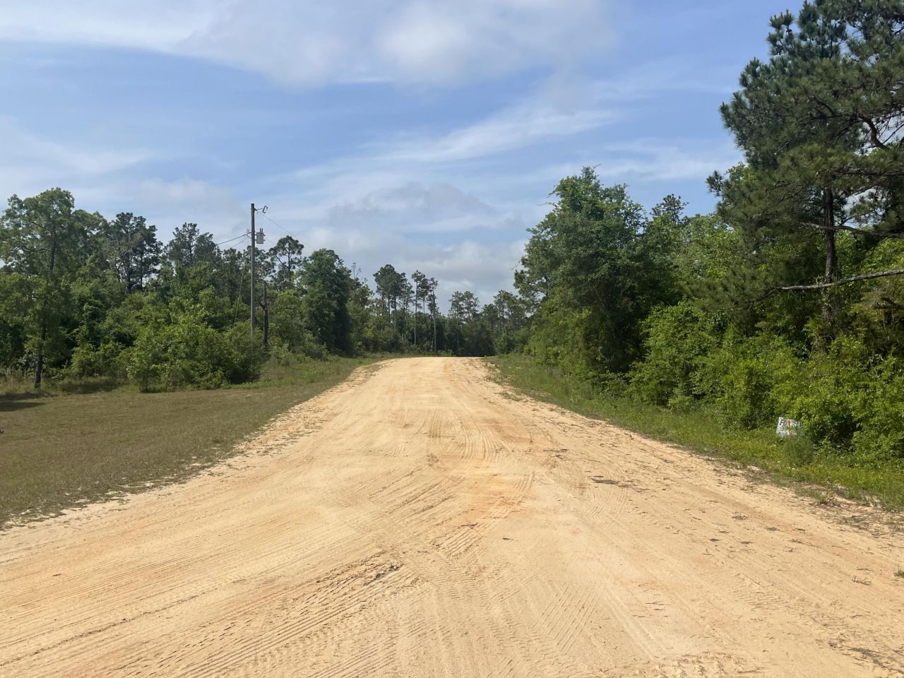 Tbd Rome Avenue, Alford, FL 32420 Photo