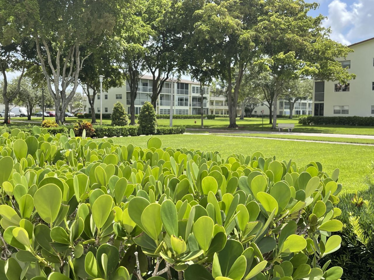 27 Mansfield A, Boca Raton, FL 33434 Photo