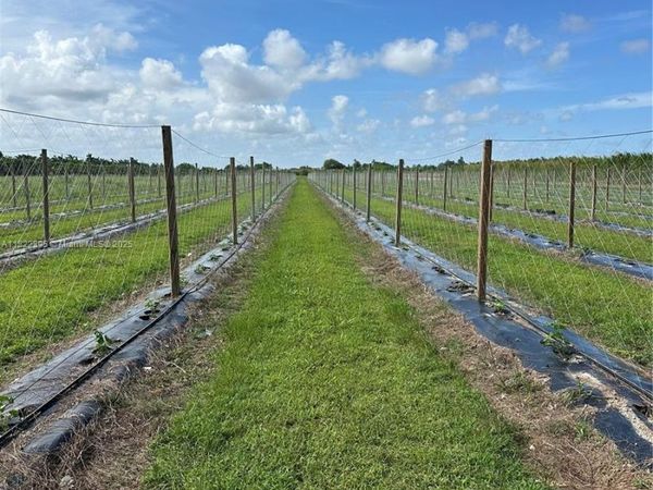 N 280, Homestead, FL 33033