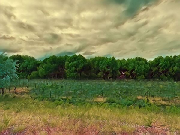 442 Los Pinos Road, Santa Fe, NM 87507