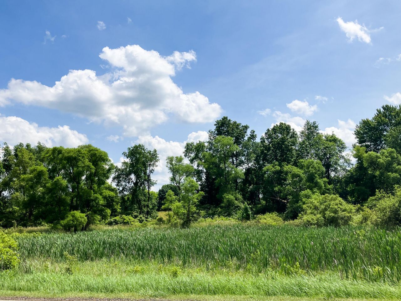 9250 92nd Street Se, Alto, MI 49302 Main Photo