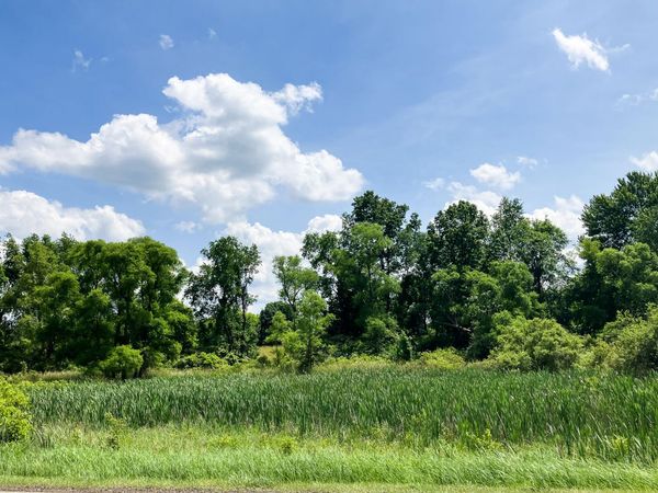 9250 92nd Street SE, Alto, MI 49302