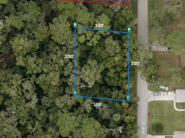 31637 NILES STREET, SORRENTO, FL 32776