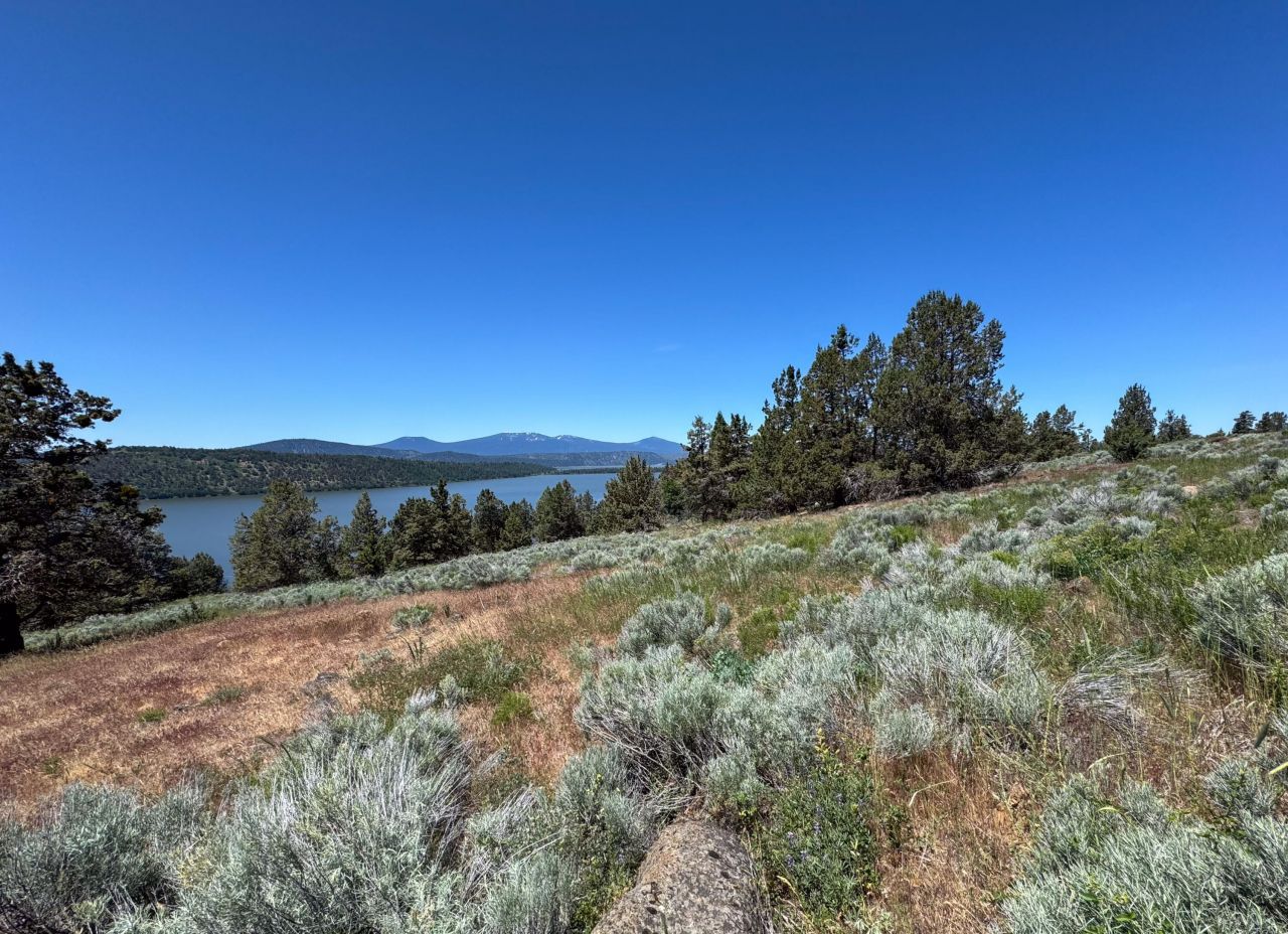 Sunset Ridge Drive, Lot #11.47 Acre, Klamath Falls, OR 97601 Main Photo